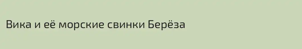 Вика и её морские свинки Берёза